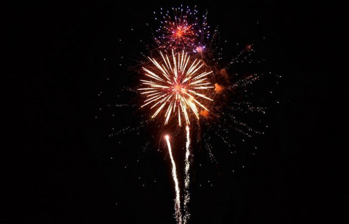 14 luglio: i fuochi d’artificio sono un pericolo per i tuoi animali domestici, fai attenzione!