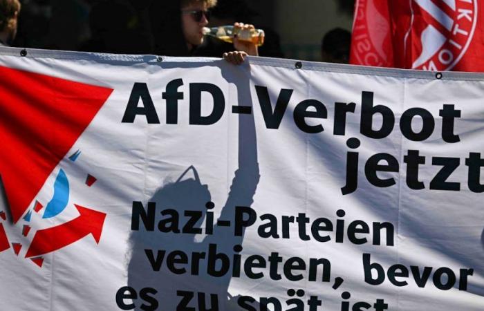 I manifestanti protestano contro il congresso dell’AfD