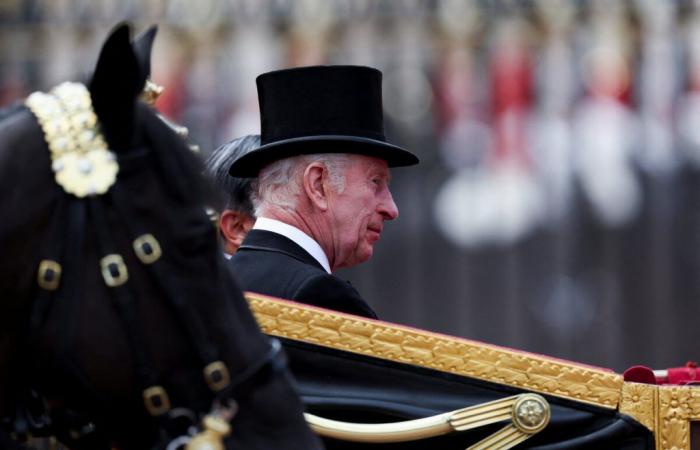 Carlo III: sorriso discreto, posa rilassata… un nuovo ritratto ufficiale del re svelato da Buckingham
