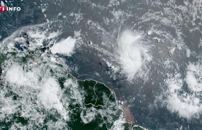Martinica: la tempesta Béryl minaccia di diventare un uragano prima di colpire le Antille