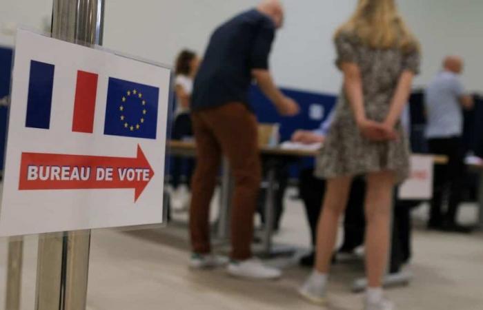Elezioni legislative in Francia: alcune chiavi per comprendere meglio i risultati del primo turno
