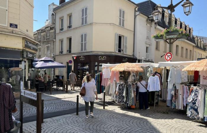 Elezioni legislative 2024 a Yvelines: tuffarsi nella Francia che vota, sui mercati di Mantois