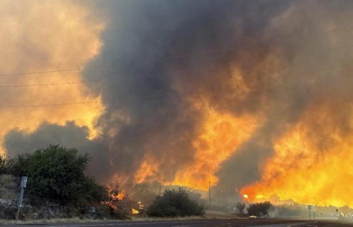In Arizona, un incendio avanza dopo aver forzato le evacuazioni