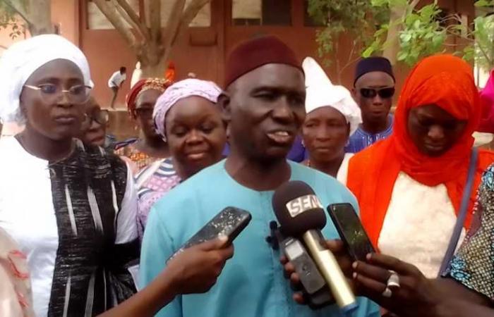 Coltivazione del fonio in Senegal: Sanoussy Diakité chiede un programma speciale per aumentare la produzione