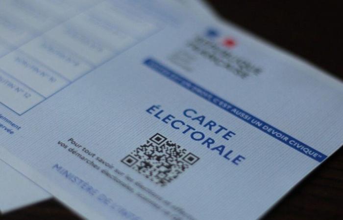 Primo turno delle elezioni legislative 2024: partecipazione in forte aumento alle 17 a Vienne e Deux-Sèvres