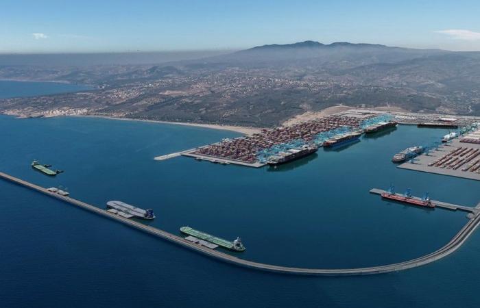 Crisi nel Mar Rosso: Nador West Med, una soluzione alla congestione del Mediterraneo occidentale
