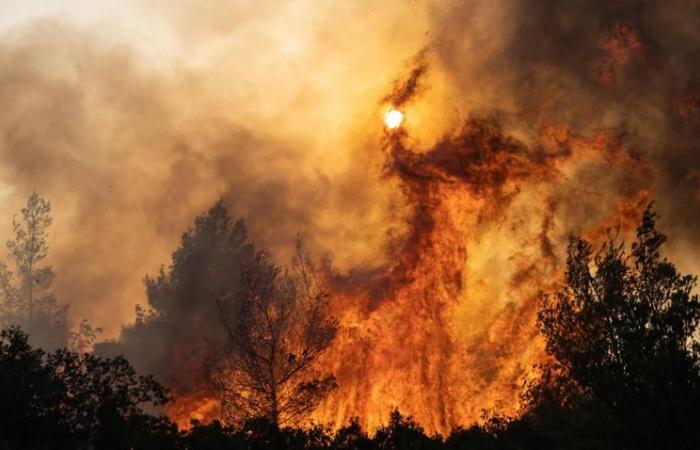 incendio boschivo vicino ad Atene, estate difficile alle porte