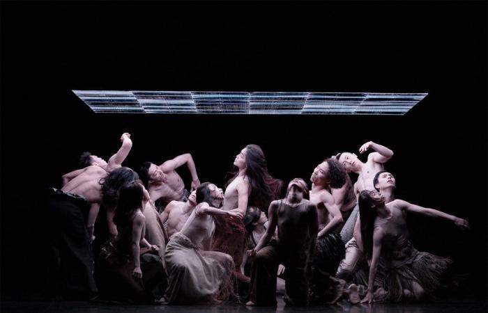 Dietro gli schermi, Montpellier Danse sta diventando popolare