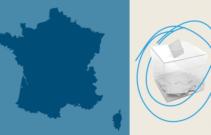 Elezioni legislative 2024: quali sono i risultati del primo turno nell’Yonne?