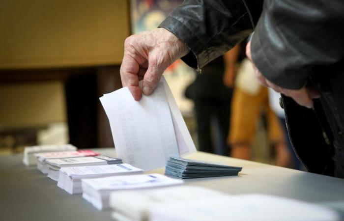 Elezioni legislative 2024 a Essonne: i candidati qualificati per il secondo turno nella 6a circoscrizione elettorale