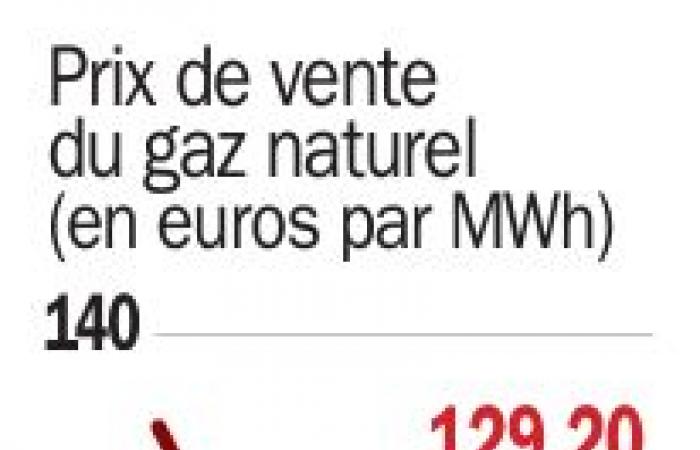 Prezzi del gas: perché la bolletta francese aumenterà a luglio