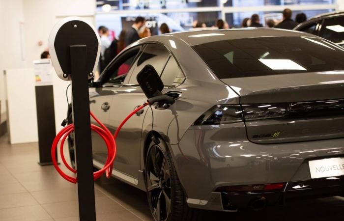 Crollano le vendite di auto elettriche in Europa, ecco cosa le sta sostituendo