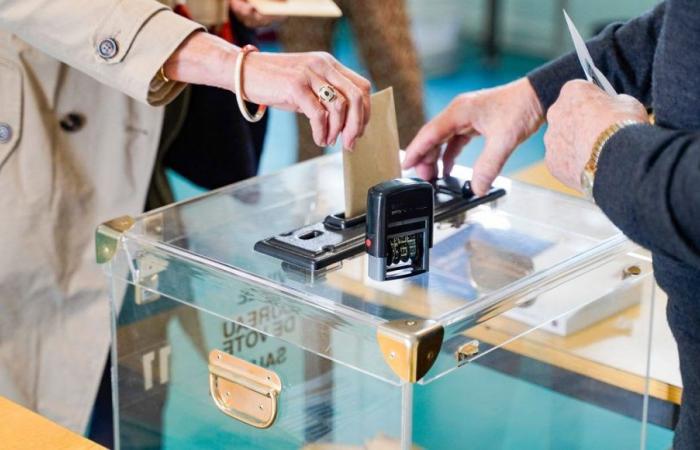 Elezioni legislative 2024: i risultati del 1° turno nelle Bocche del Rodano