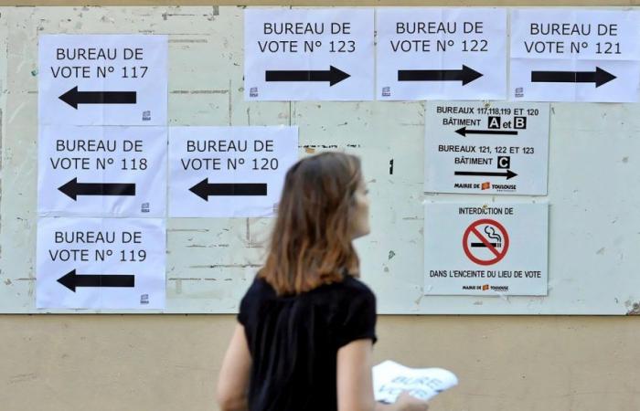Elezioni legislative 2024: La RN in testa in 5 dei 6 collegi elettorali del Loiret alla fine del 1° turno
