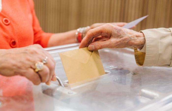 Elezioni legislative 2024: i risultati del 1° turno nell’Hérault