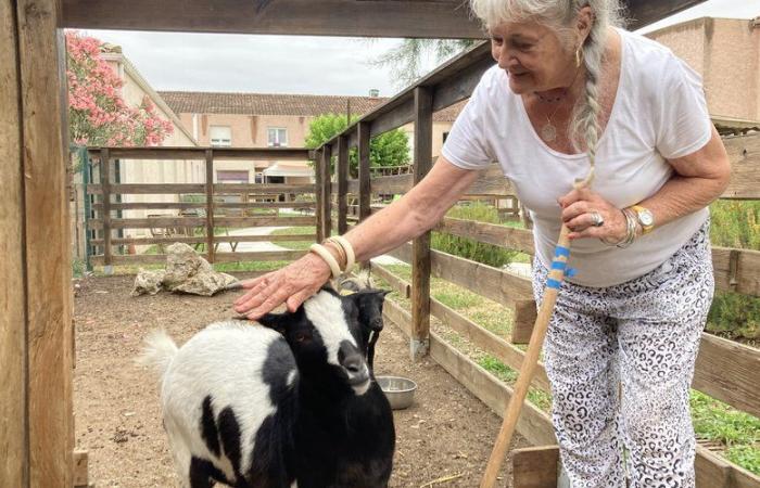 “Questa fattoria mi ha salvato la vita”: a Gigean, l’Ehpad la Colombe mette gli animali al servizio del benessere dei residenti