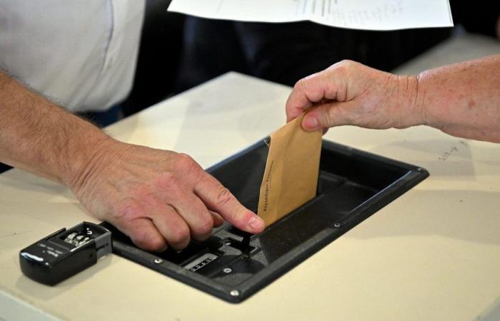 Elezioni legislative 2024: risultati, reazioni, segui la serata elettorale nel Loiret con la France Bleu Orléans