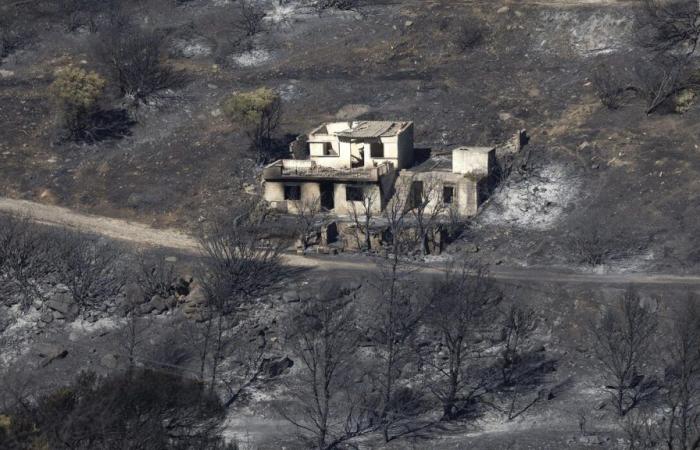 Grecia: due grandi incendi boschivi nella regione di Atene, estate difficile alle porte