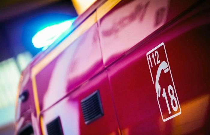 Temporali: tre morti nell’Aube dopo che un albero è caduto su un’auto