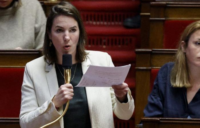 Elezioni legislative 2024 nella Loira Atlantica: Julie Laernoes vicina alla rielezione al primo turno a Nantes-Rezé