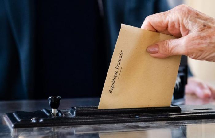 Elezioni legislative 2024: i risultati del primo turno nel Morbihan e nel vostro comune