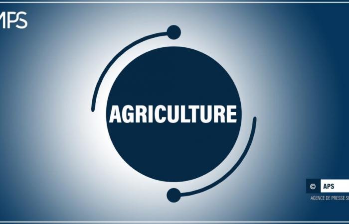 ORGANIZZAZIONE-AGRICOLTURA-SENEGAL / Koul costituisce una cooperativa agricola municipale – agenzia di stampa senegalese