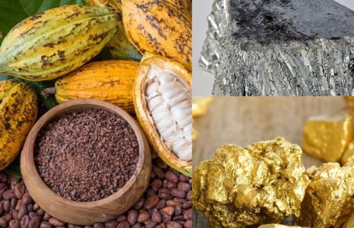 Materie prime: il cacao crolla, lo zinco avanza, l’oro dorme
