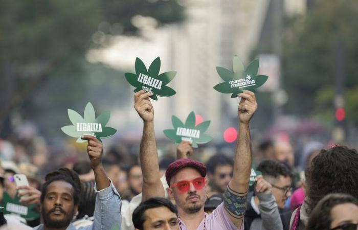 Possesso di cannabis depenalizzato in Brasile: le nuove regole del gioco