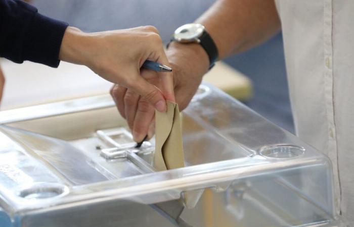 Elezioni legislative anticipate a Seine-Saint-Denis: le sfide dello scrutinio