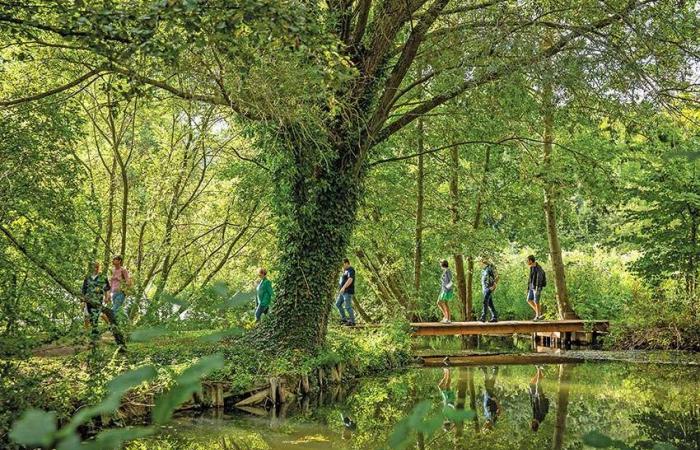 Gli hortillonnages di Amiens Un ponte tra arte e natura – Piante e Salute