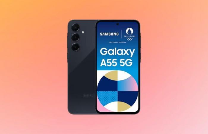 Hai visto questa offerta interessante pubblicata sul Samsung Galaxy A55 durante i saldi estivi?