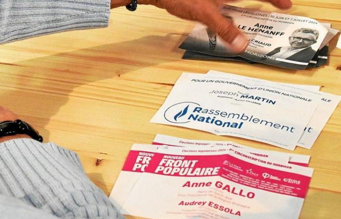 Triangolare nel collegio elettorale di Vannes: reazioni dei qualificati al secondo turno [Vidéos]