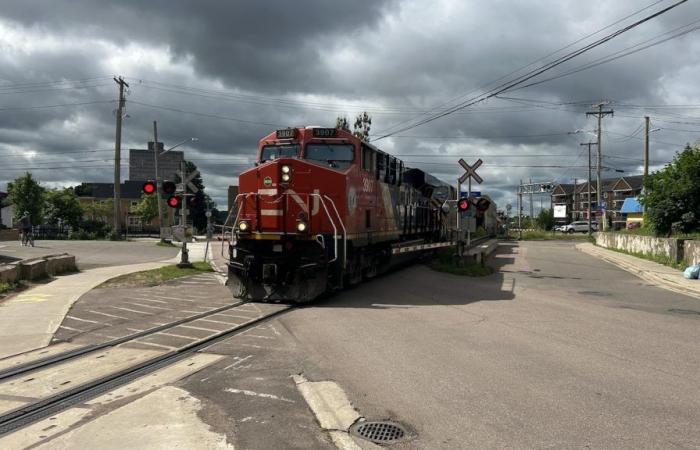 Un pedone muore dopo essere stato investito da un treno a Moncton