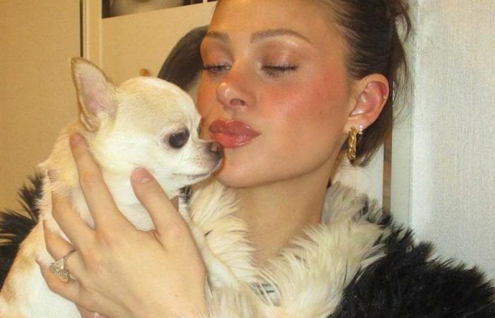 Nicola Peltz: il suo cagnolino muore dopo essere stato toelettato a New York