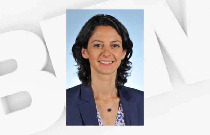 La deputata uscente Claire Colomb-Pitollat ​​si ritira per “bloccare” la RN
