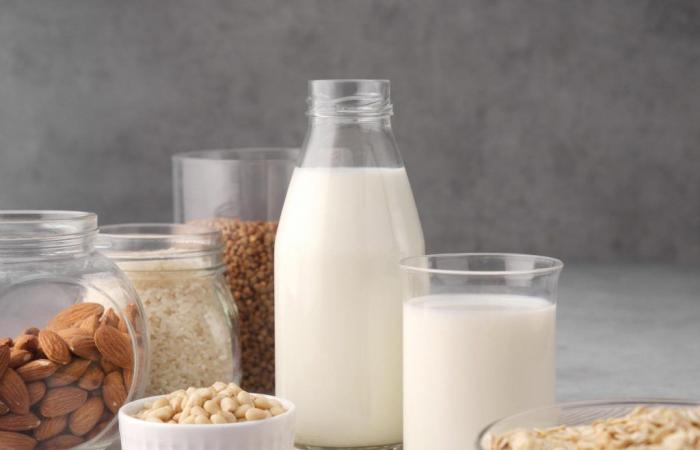 bere bevande vegetali invece del latte sarebbe rischioso, afferma l’OMS