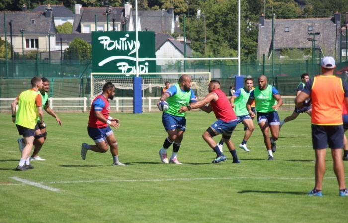 Rugby: questo club della Top 14 si allenerà a Pontivy