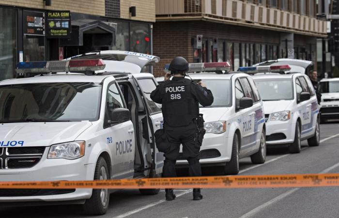 Aumento della violenza in Quebec | Abbiamo i dati, usiamoli