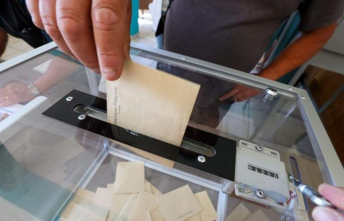 Elezioni legislative 2024: ad Allier, il Raggruppamento Nazionale in testa in due dei tre collegi elettorali