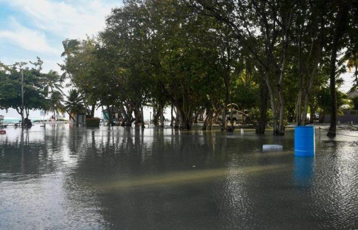 L’uragano Beryl e i suoi venti “devastanti” si sono abbattuti sulle Antille meridionali