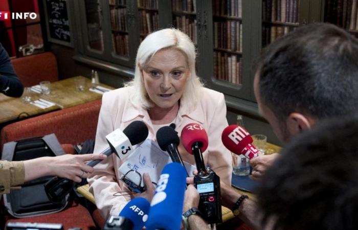 Chi è quest’altro Le Pen in corsa per un seggio all’Assemblea nazionale?