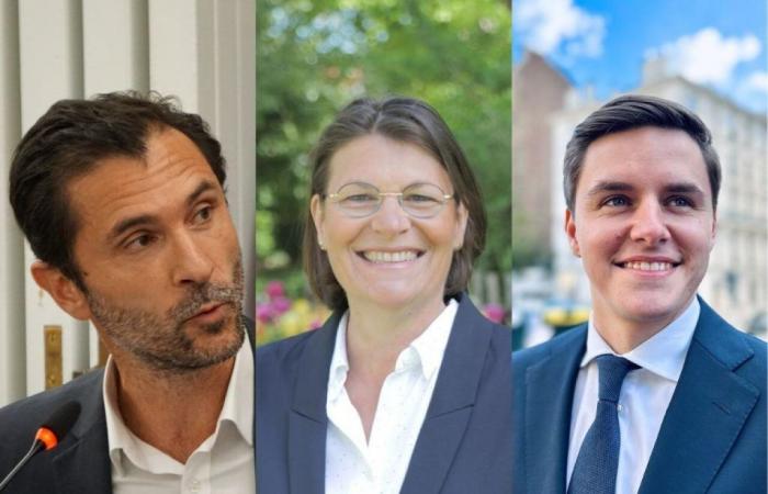 Elezioni legislative in Seine-et-Marne: ancora 3a, la deputata Aude Luquet resiste e porta al triangolare