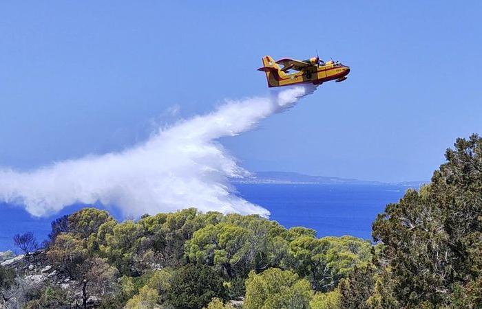 Il primo ministro greco mette in guardia dagli incendi boschivi quest’estate