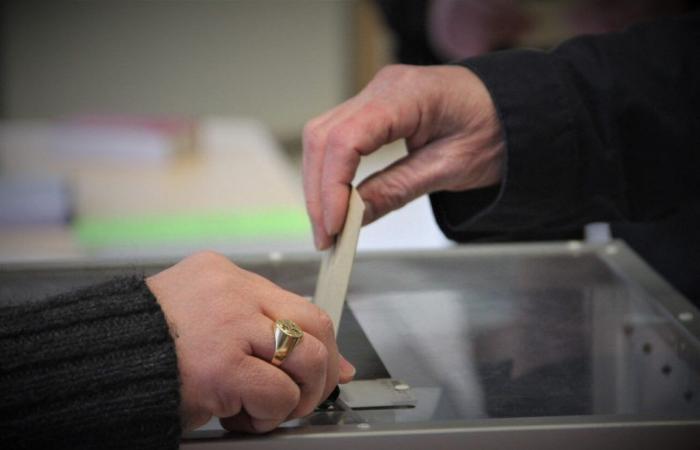 Elezioni legislative 2024 nel Loiret: trovate i risultati finali in ogni circoscrizione