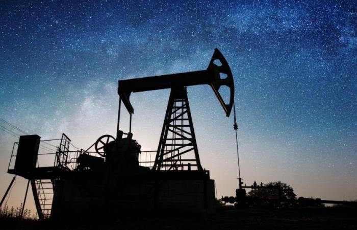 L’Arabia Saudita scopre sette nuovi giacimenti di petrolio e gas