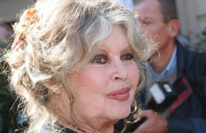 Brigitte Bardot si confida con i suoi pronipoti