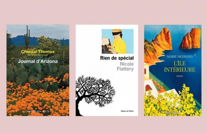 Quali libri leggere questa settimana? La nostra selezione, con il meraviglioso “Journal d’Arizona” di Chantal Thomas
