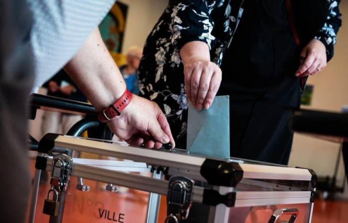 Elezioni legislative 2024. I numeri significativi nel collegio elettorale di Quimper-Briec-Fouesnant