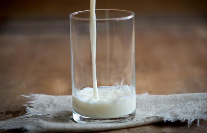 Latte di soia, avena, mandorla…: l’Oms mette in guardia dal rischio di bere bevande vegetali al posto del latte