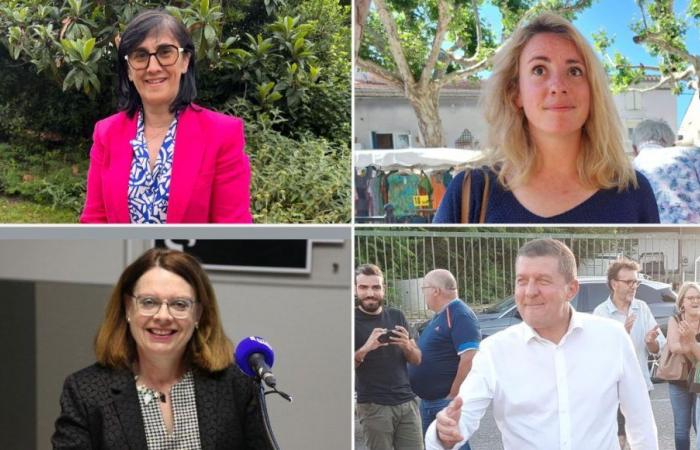Elezioni legislative 2024: cosa ricordare del primo turno in Drôme e Ardèche